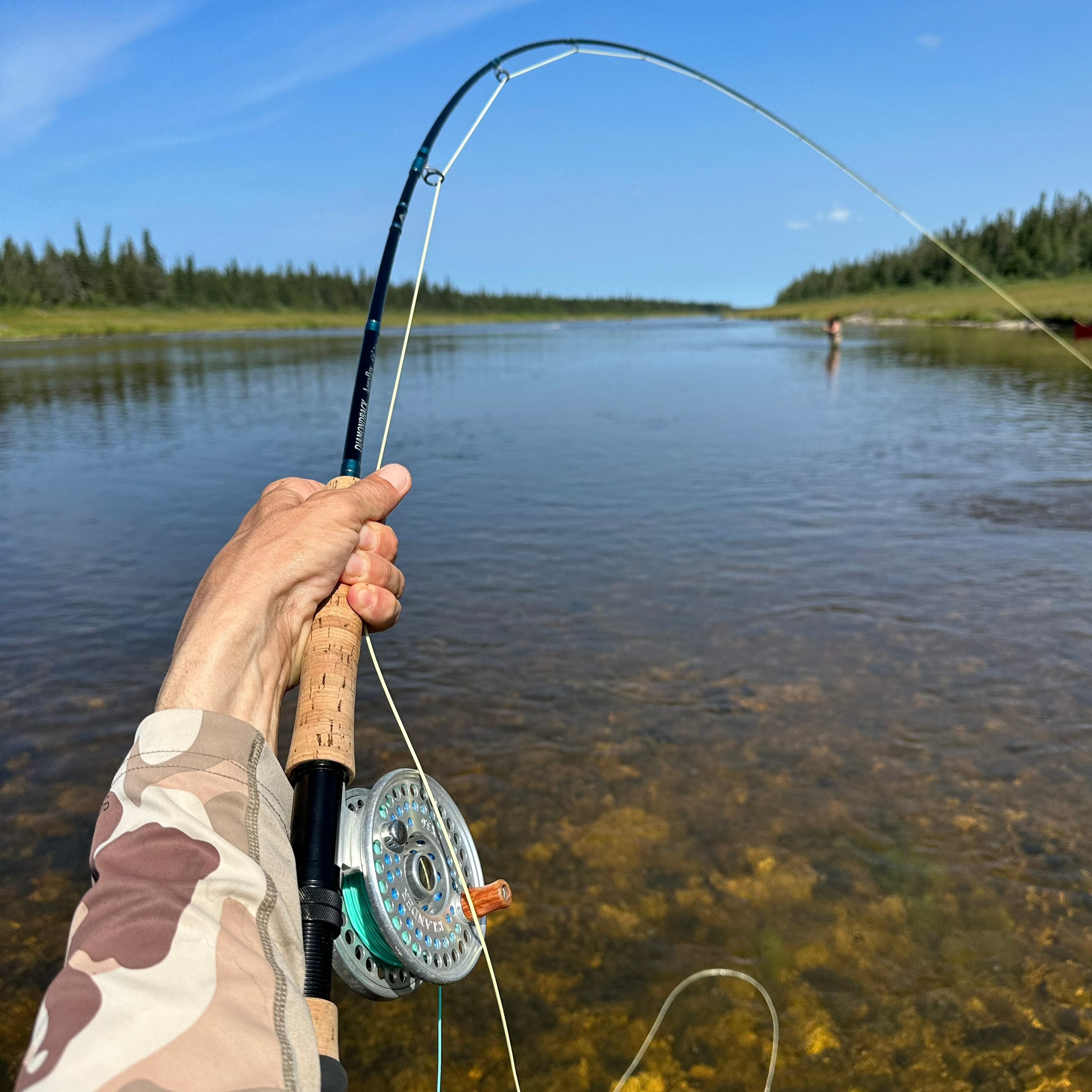 Aeroflex Saltwater
