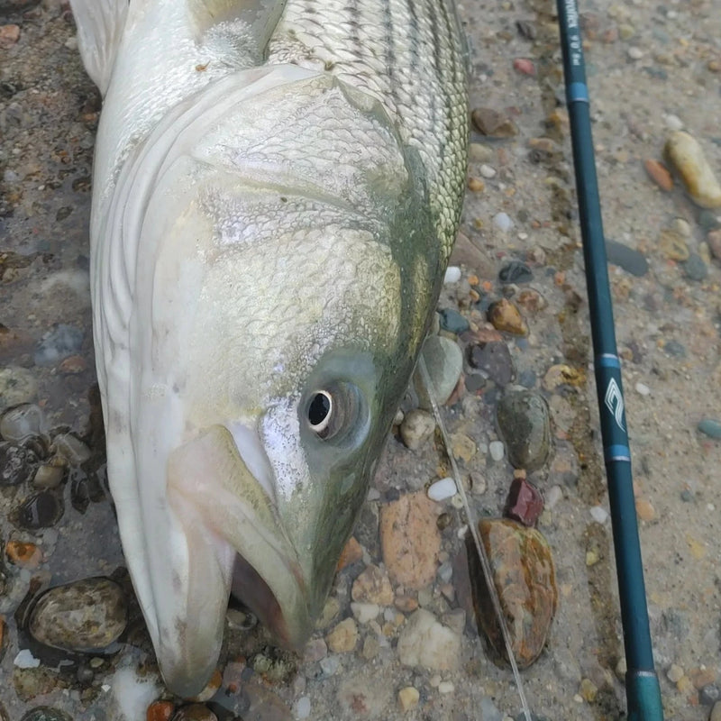 Aeroflex Saltwater